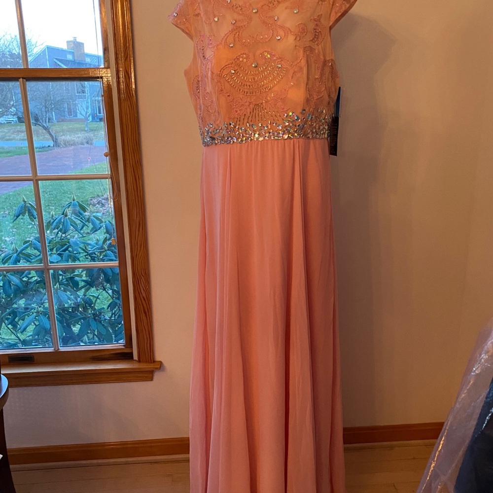 New with tags blush formal gown